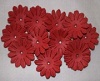 AS4E - 32mm Red Daisy 